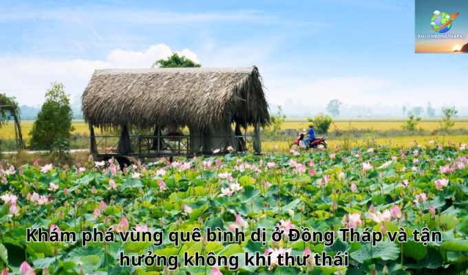 Khám phá vùng quê bình dị ở Đồng Tháp và tận hưởng không khí thư thái