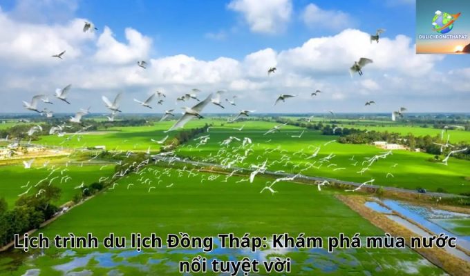 Lịch trình du lịch Đồng Tháp: Khám phá mùa nước nổi tuyệt vời