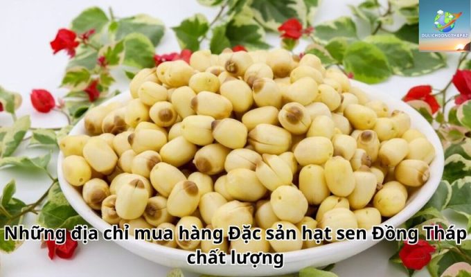 Những địa chỉ mua hàng Đặc sản hạt sen Đồng Tháp chất lượng