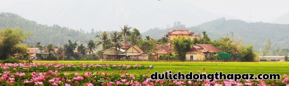 dulichdongthapaz.com