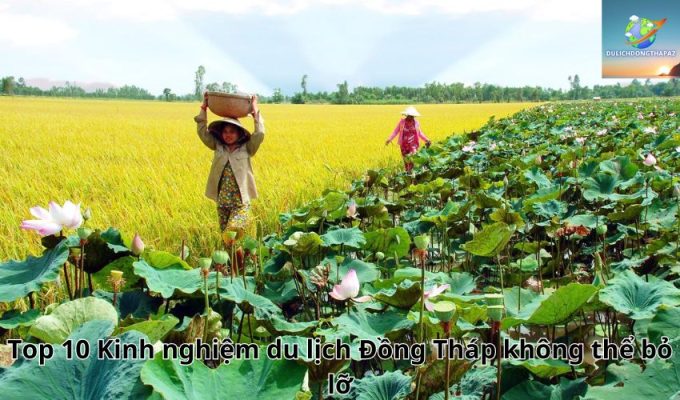 Top 10 Kinh nghiệm du lịch Đồng Tháp không thể bỏ lỡ