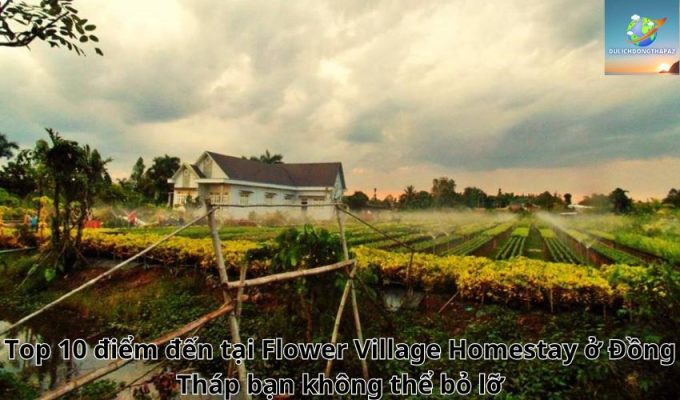 Top 10 điểm đến tại Flower Village Homestay ở Đồng Tháp bạn không thể bỏ lỡ