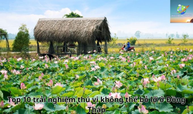 Top 10 trải nghiệm thú vị không thể bỏ lỡ ở Đồng Tháp