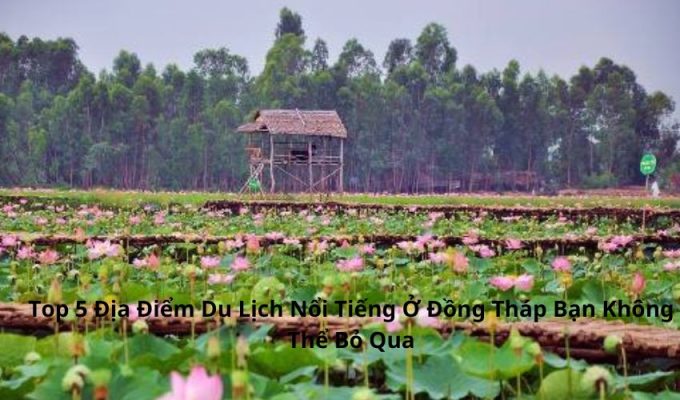 Top 5 Địa Điểm Du Lịch Nổi Tiếng Ở Đồng Tháp Bạn Không Thể Bỏ Qua