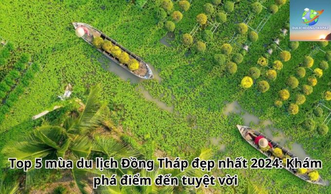 Top 5 mùa du lịch Đồng Tháp đẹp nhất 2024: Khám phá điểm đến tuyệt vời