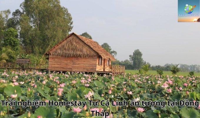 Trải nghiệm Homestay Tư Cá Linh ấn tượng tại Đồng Tháp