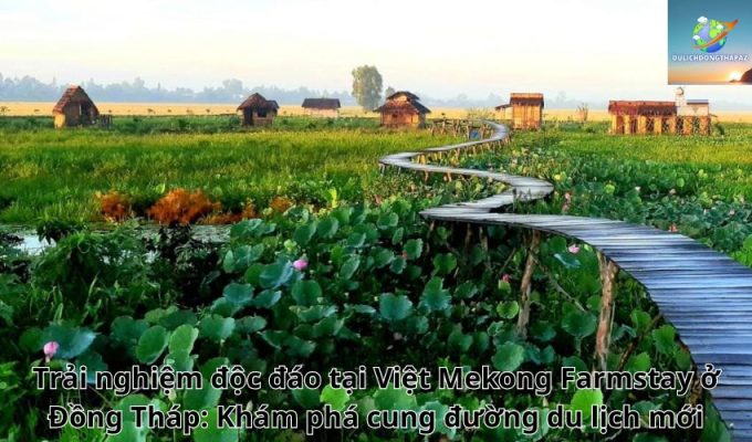 Trải nghiệm độc đáo tại Việt Mekong Farmstay ở Đồng Tháp: Khám phá cung đường du lịch mới