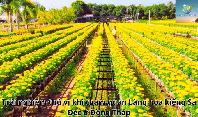 Trải nghiệm thú vị khi tham quan Làng hoa kiểng Sa Đéc ở Đồng Tháp